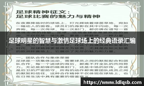 yy体育