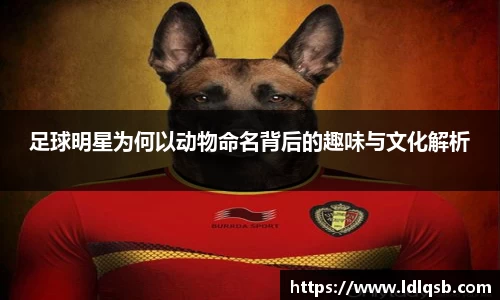 易游体育